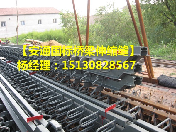 單組式橋梁伸縮縫 單縫式橋梁d80伸縮縫廠家直銷