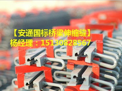 單組式橋梁伸縮縫 單縫式橋梁d80伸縮縫廠家直銷