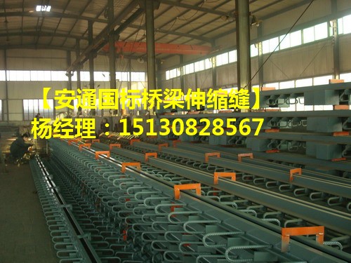 單組式橋梁伸縮縫 單縫式橋梁d80伸縮縫廠家直銷
