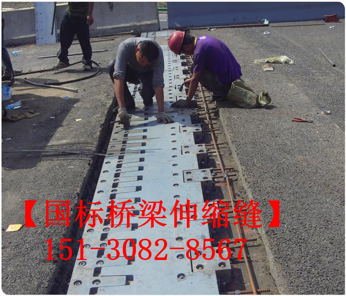鋼板梳齒型伸縮縫裝置 良品*標(biāo)梳齒板伸縮縫