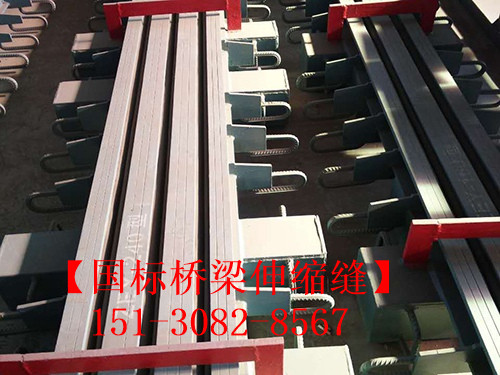 良品橋梁伸縮縫裝置的施工安裝和維護(hù)