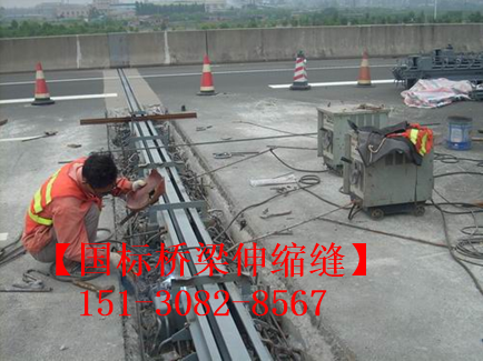 道路橋梁伸縮縫裝置 良品*標(biāo)橋梁伸縮縫種類劃分