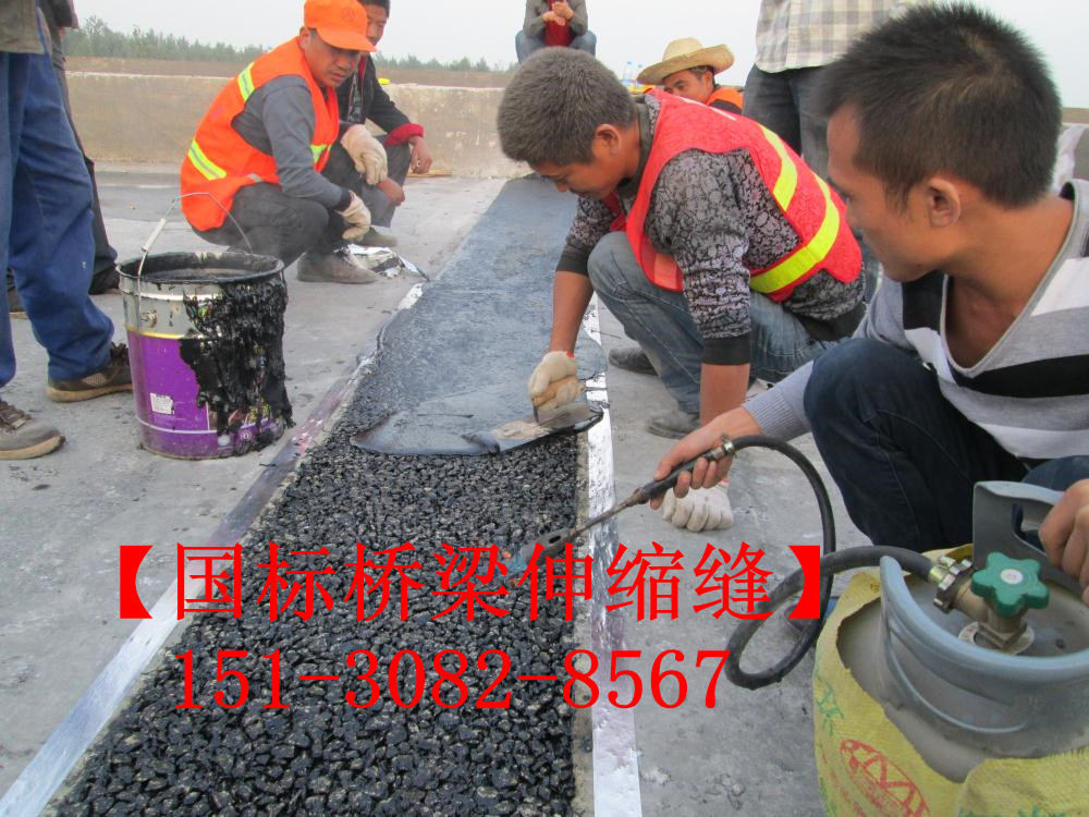 橋梁伸縮縫 異型鋼d80伸縮縫裝置 模數(shù)式型鋼伸縮縫