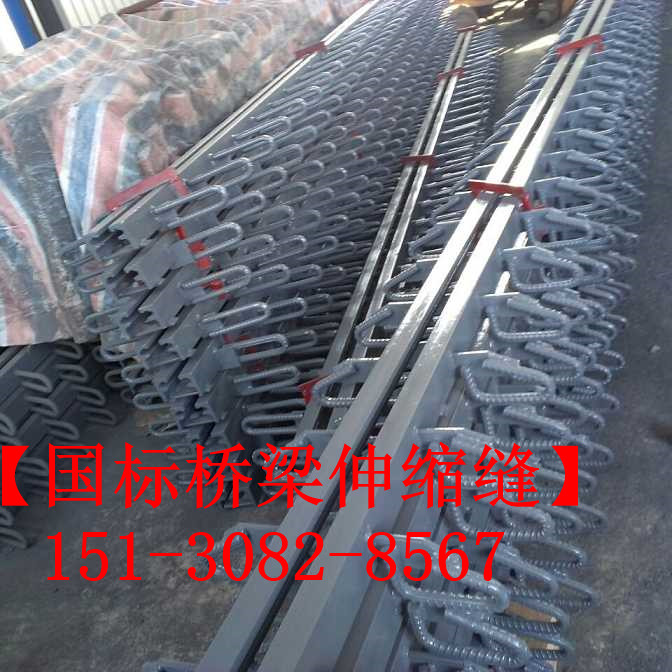 GQF-D80型橋梁伸縮縫裝置 單組式橋梁伸縮縫裝置