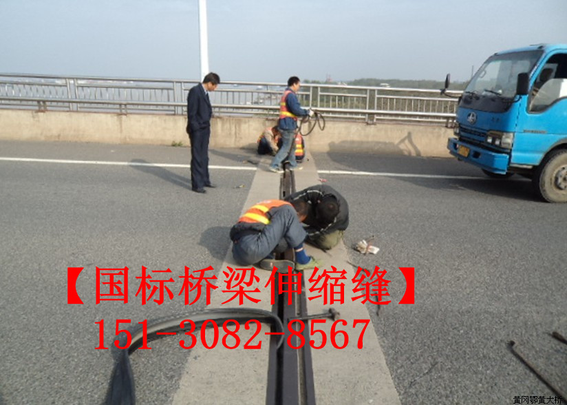 橋梁伸縮縫 異型鋼d80伸縮縫裝置 模數(shù)式型鋼伸縮縫