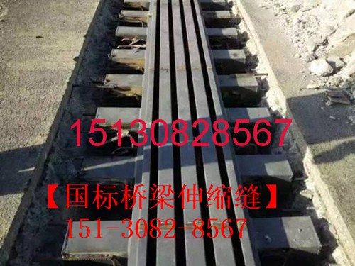 橋梁伸縮縫裝置的型號樣式圖解D40、60、80型伸縮縫裝置合集15130828567