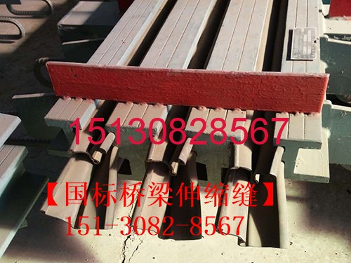 橋梁伸縮縫&遇水膨脹橡膠止水帶產(chǎn)品大講堂2